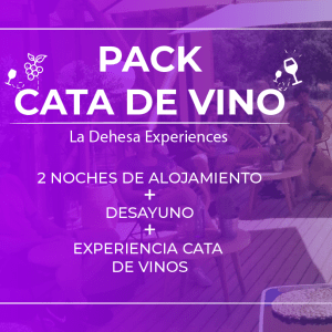 [Pack Cata] 2 noches + desayuno + Experiencia Cata de Vino – Junior Suite [2 pax]