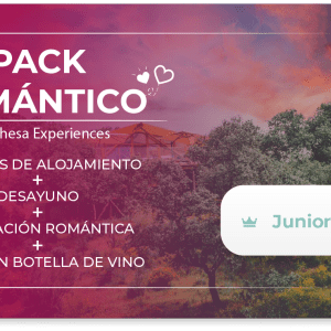 [Pack Romántico] 2 noches + desayuno + Decoración romántica + Cena con botella de vino – Junior Suite [2 pax]