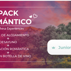 [Pack Romántico] 1 noche + desayuno + Decoración romántica + Cena con botella de vino – Junior Suite [2 pax] (copia)