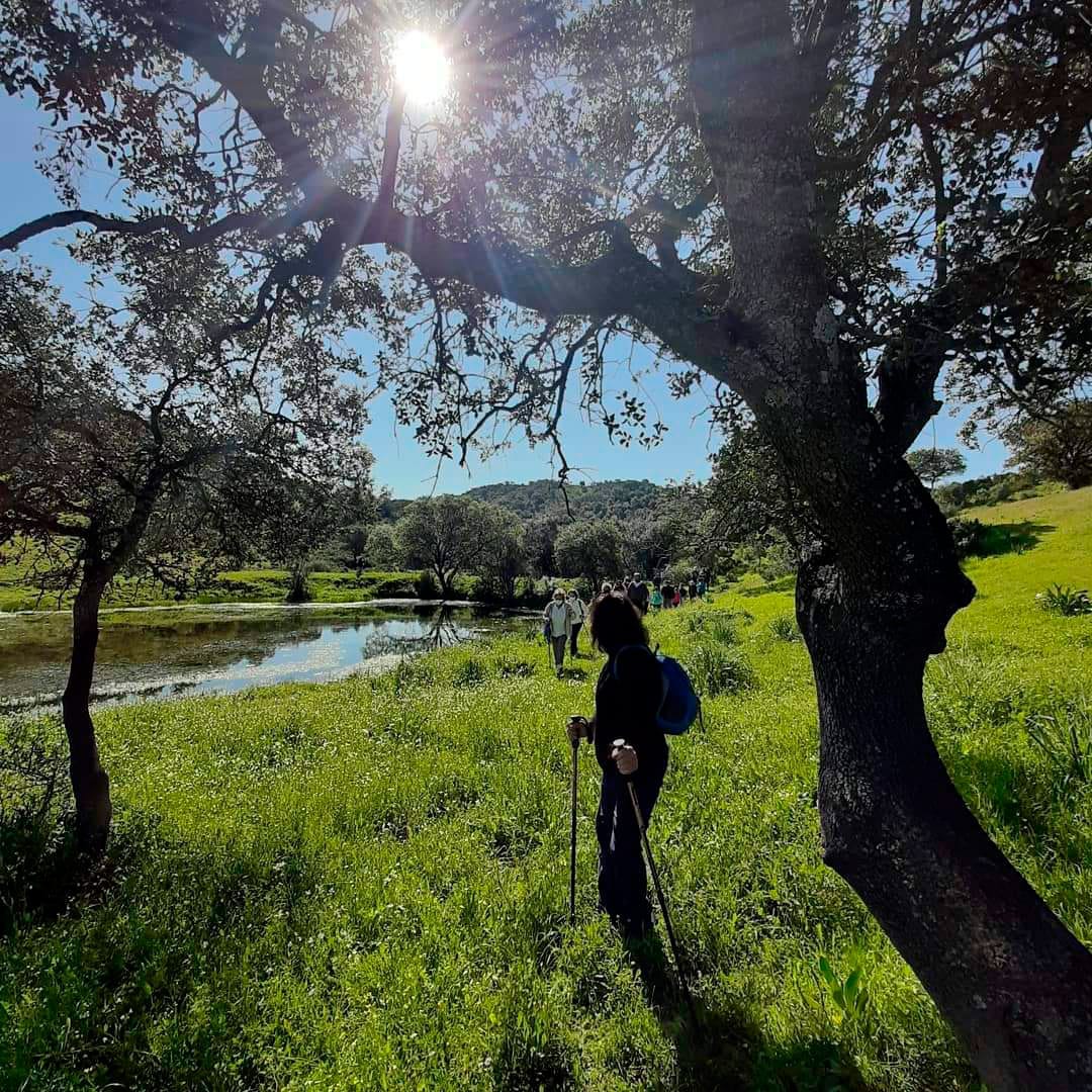 Glamping Andalucía - Cabañas con piscina privada - Sierra Morena - Almendros en flor - La Dehesa Experiences