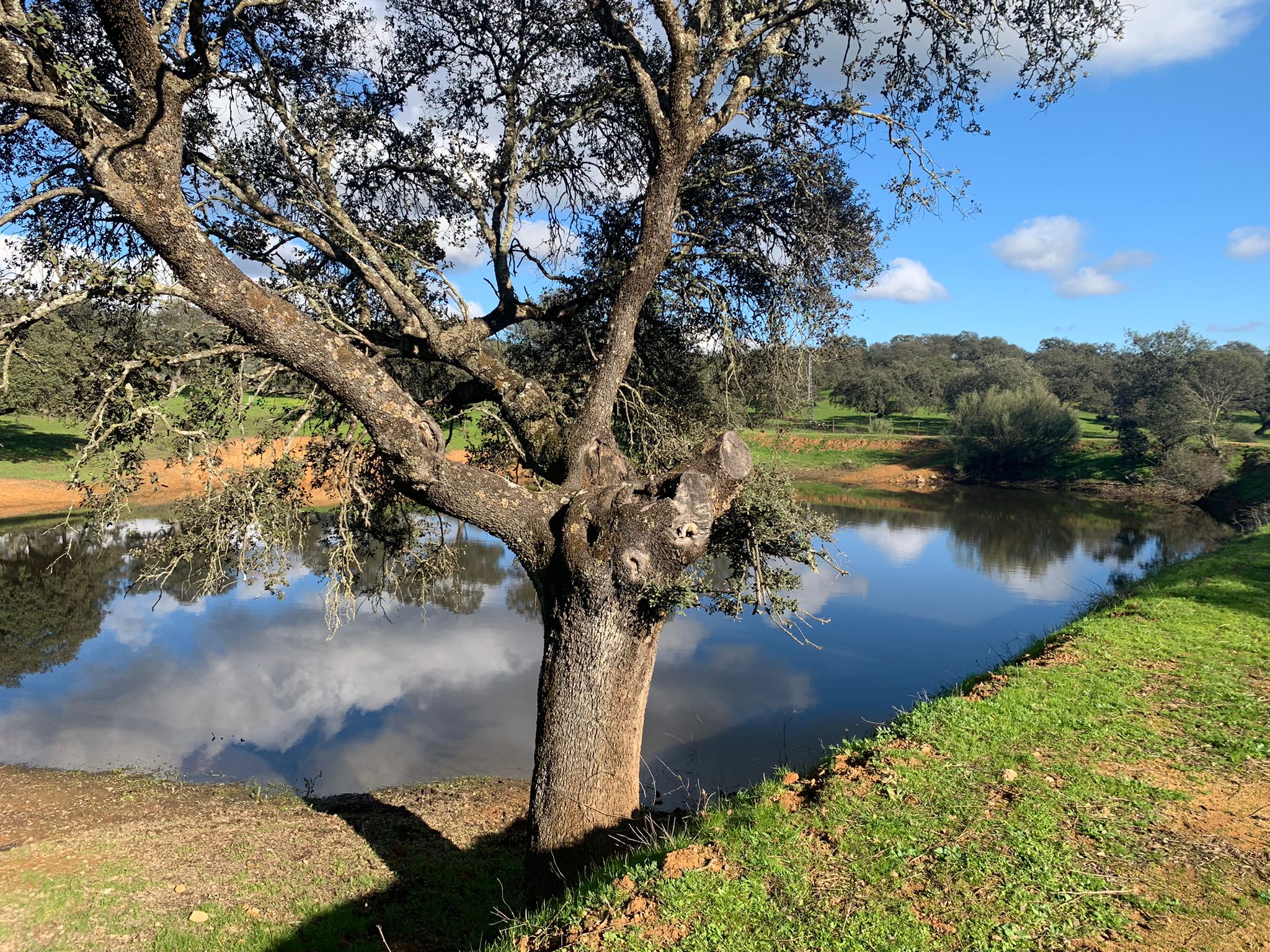 Cosas que hacer en Córdoba - Glamping Andalucía - Hoteles en Sierra Morena - Tiendas Safari - Piscina Privada