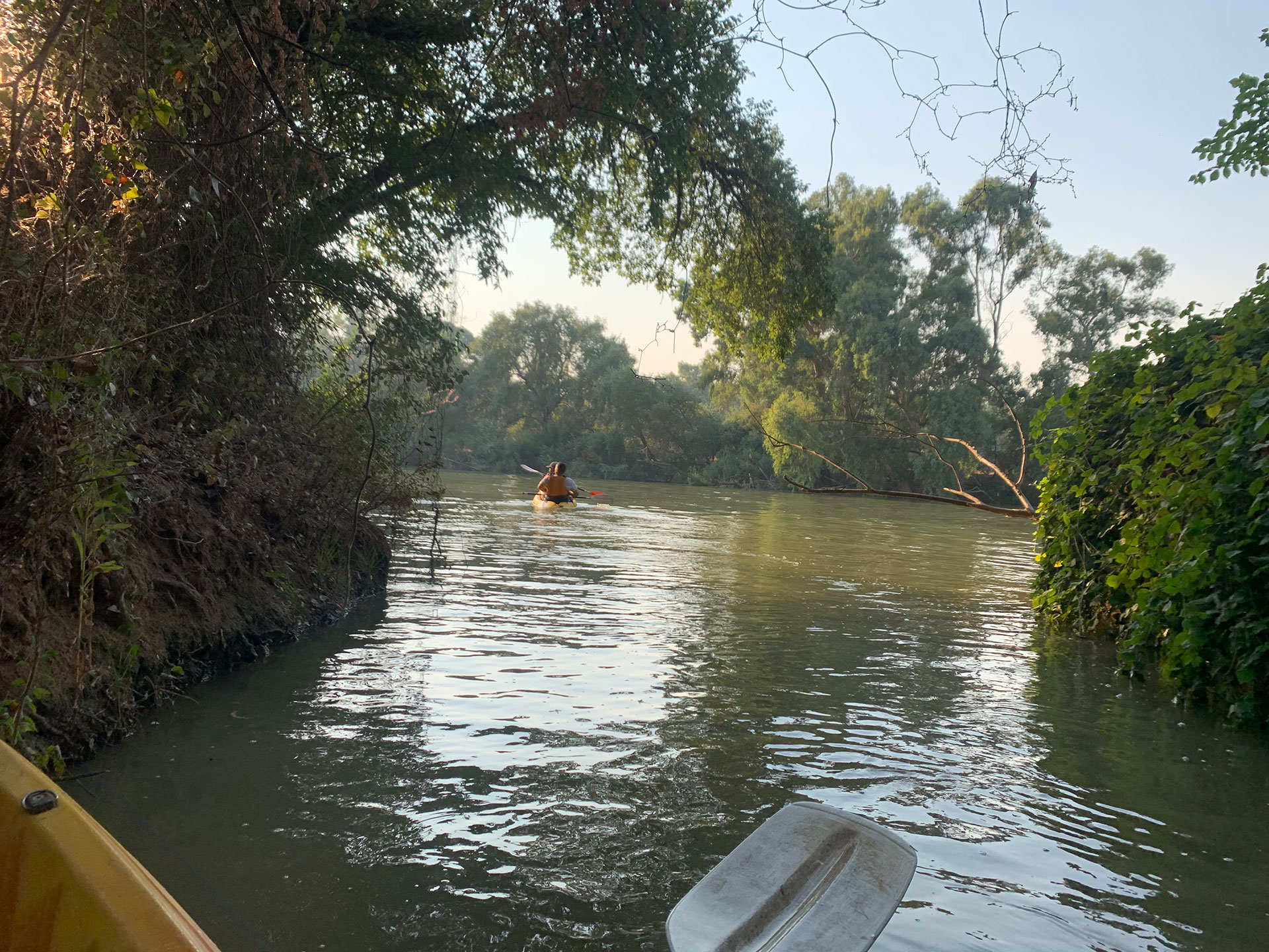 Glamping Andalucía - Cabañas con piscina privada - Sierra Morena - Almendros en flor - La Dehesa Experiences