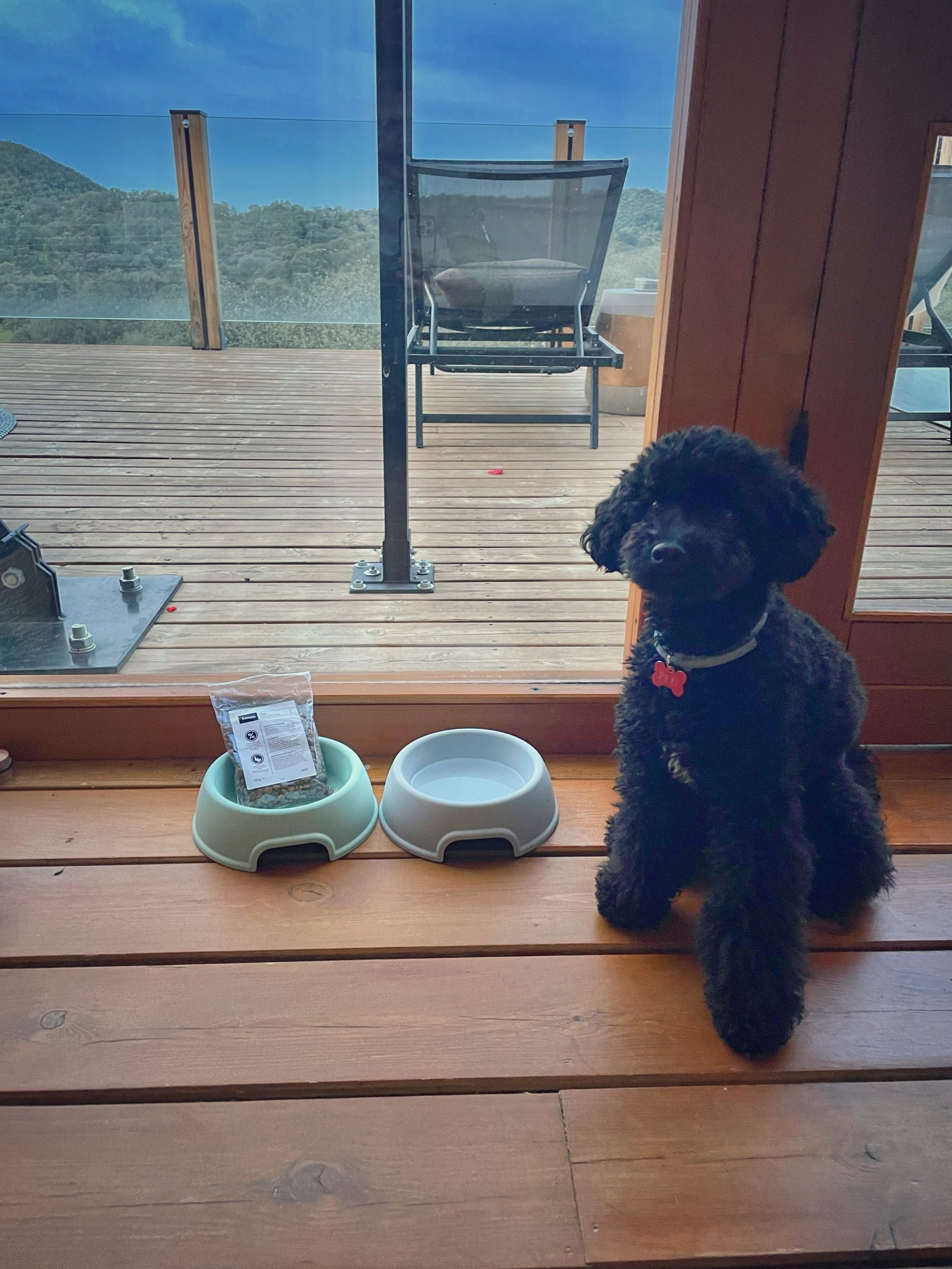 Glamping en Andalucía - Glamping en Córdoba - Glamping con perros - Camping Sierra Morena - Hotel con piscina privada en Andalucía - Cabañas en los árboles Andalucía - La Dehesa