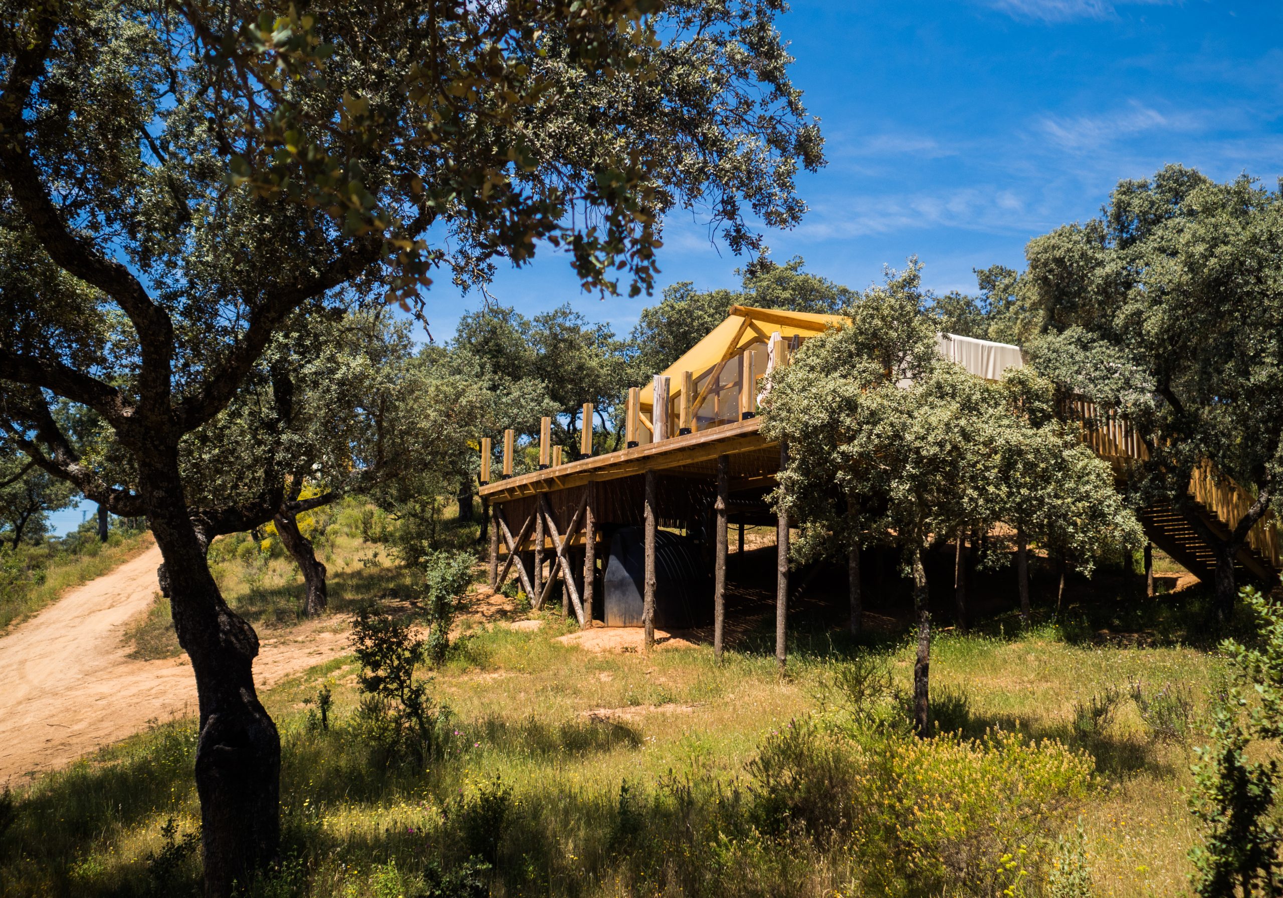 La Dehesa - Tercer Aniversario - Descuento 10%