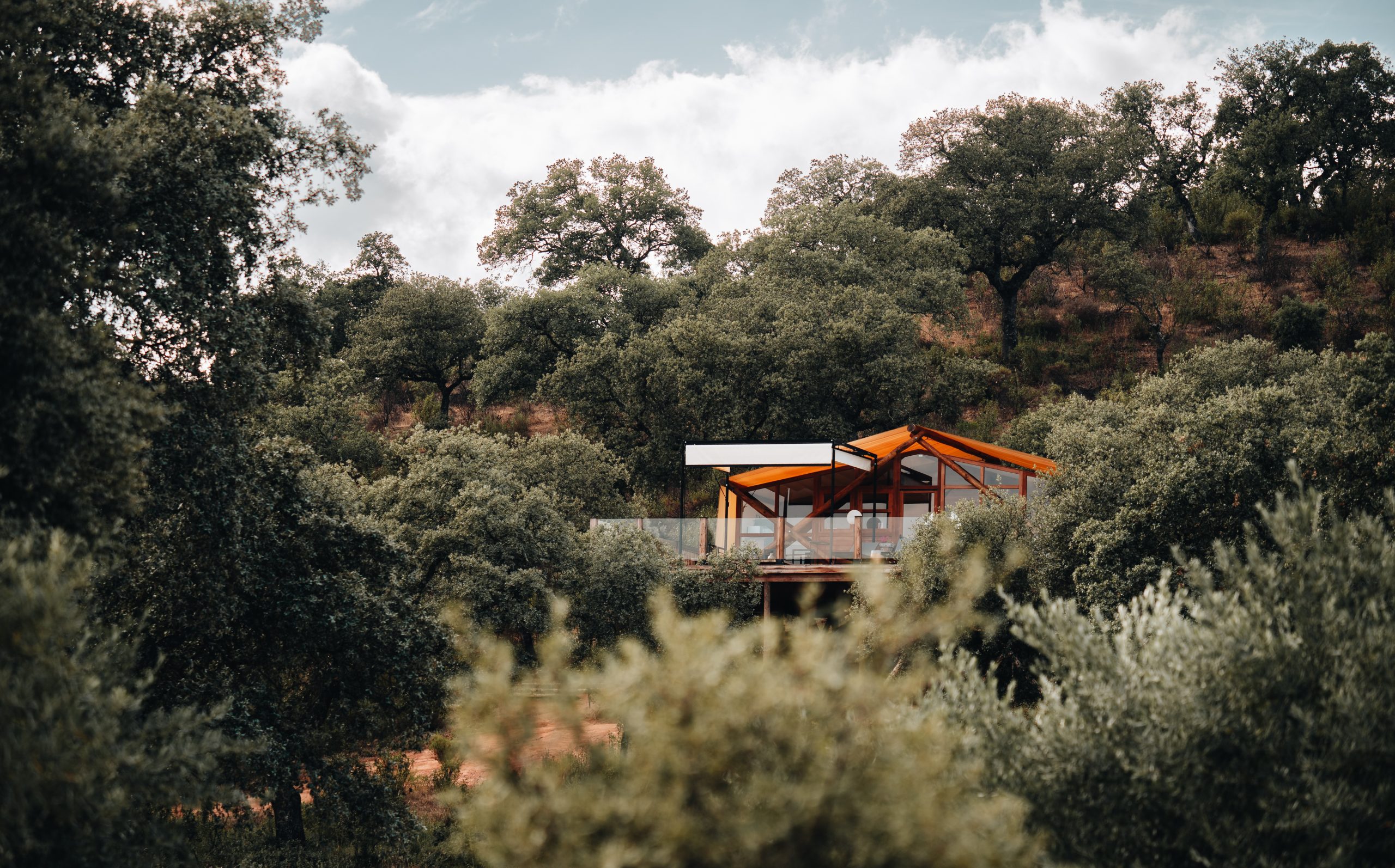 - Glamping in Andalusia - Hotels with private pool in the room in Andalusia - Tree Houses in Andalusia - Adamuz - Camping La Dehesa
