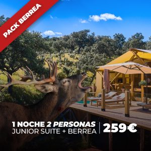 [Berrea Pack] Junior Suite – 1 night 2 people + experience