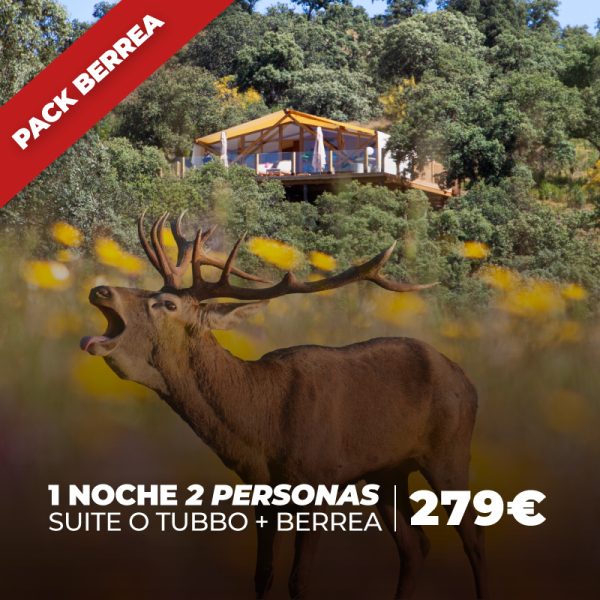 [Pack Berrea] Suite / Tubbo - 1 noche 2 personas + experiencia