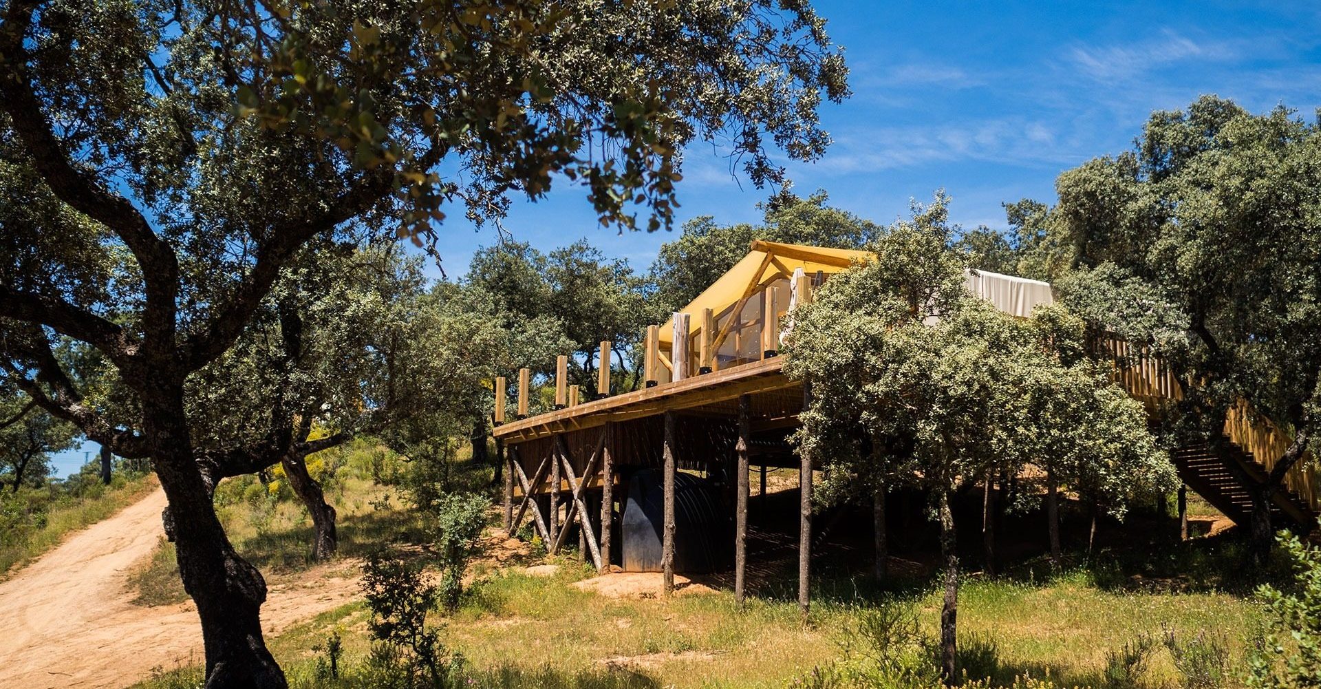 DANA, people affected by DANA, glamping in Andalusia, bubble hotel, bubble hotels in Spain, bubble accommodation, bubble hotel in Andalusia, bubble hotel in Spain, bubble hotel, bubble house, bubble houses, Adamuz, dehesa, mushrooms in Córdoba, wood therapy, glamping in Córdoba