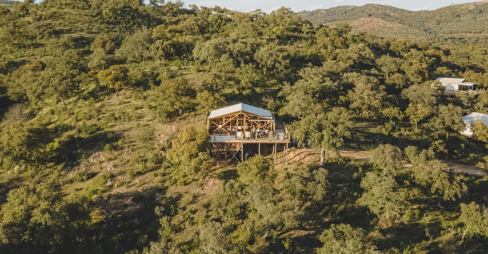 DANA, people affected by DANA, glamping in Andalusia, bubble hotel, bubble hotels in Spain, bubble accommodation, bubble hotel in Andalusia, bubble hotel in Spain, bubble hotel, bubble house, bubble houses, Adamuz, dehesa, mushrooms in Córdoba, wood therapy, glamping in Córdoba