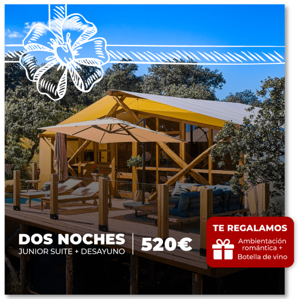 [Christmas Pack] Junior Suite - Weekend 2 nights + breakfast