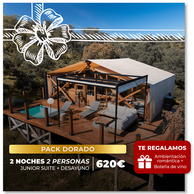 Packs de regalo para Navidad, Regalos para Navidad en pareja, Regalos para Navidad en familia, deas de regalos para Navidad, viajes navideños, regalos de navidad originales, packs navideños, viaje sorpresa, glamping, cabañas en Córdoba, cabañas románticas para parejas Andalucía, glamping cerca de mí, hotel burbuja Andalucía, camping burbuja, casa burbuja, casas burbuja, glamping burbuja, hotel burbuja, hoteles burbuja
