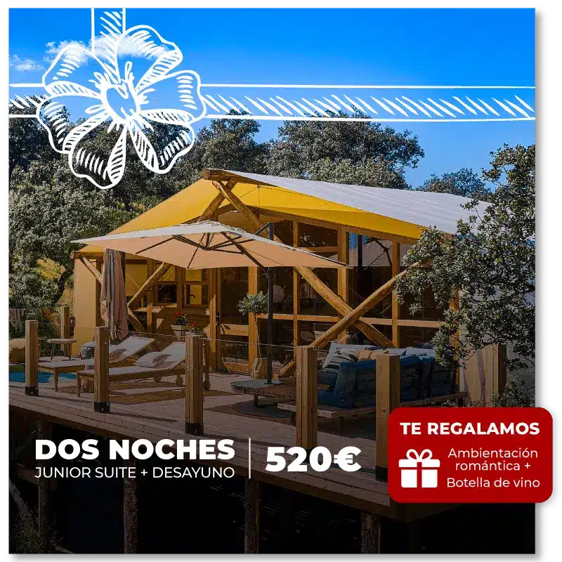 Packs de regalo para Navidad, Regalos para Navidad en pareja, Regalos para Navidad en familia, deas de regalos para Navidad, viajes navideños, regalos de navidad originales, packs navideños, viaje sorpresa, glamping, cabañas en Córdoba, cabañas románticas para parejas Andalucía, glamping cerca de mí, hotel burbuja Andalucía, camping burbuja, casa burbuja, casas burbuja, glamping burbuja, hotel burbuja, hoteles burbuja