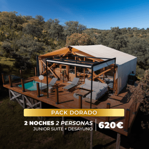 [Special Pack] Junior Suite - 2 nights Dorado + breakfast
