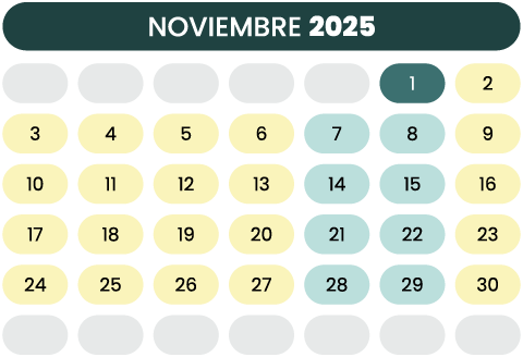 11-Nov-2025