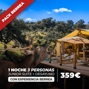 [Pack Berrea 2025] Junior Suite - 1 night | 3 persons