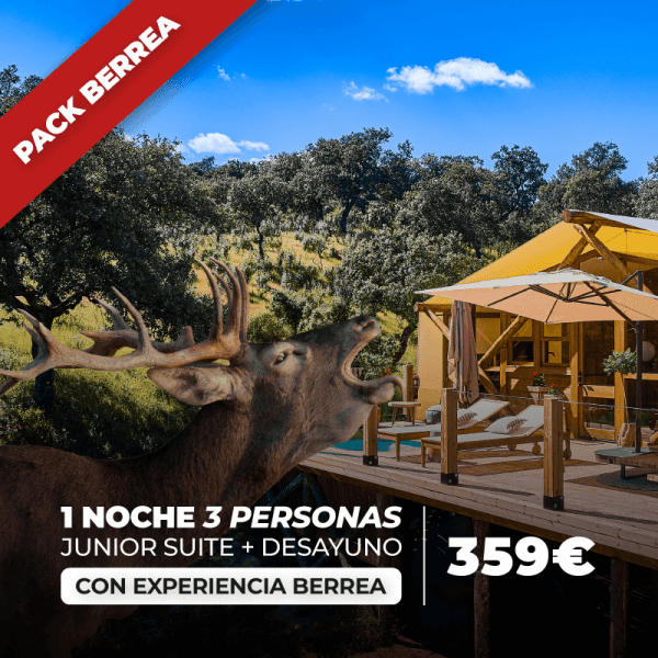 [Pack Berrea 2025] Junior Suite - 1 night | 3 persons