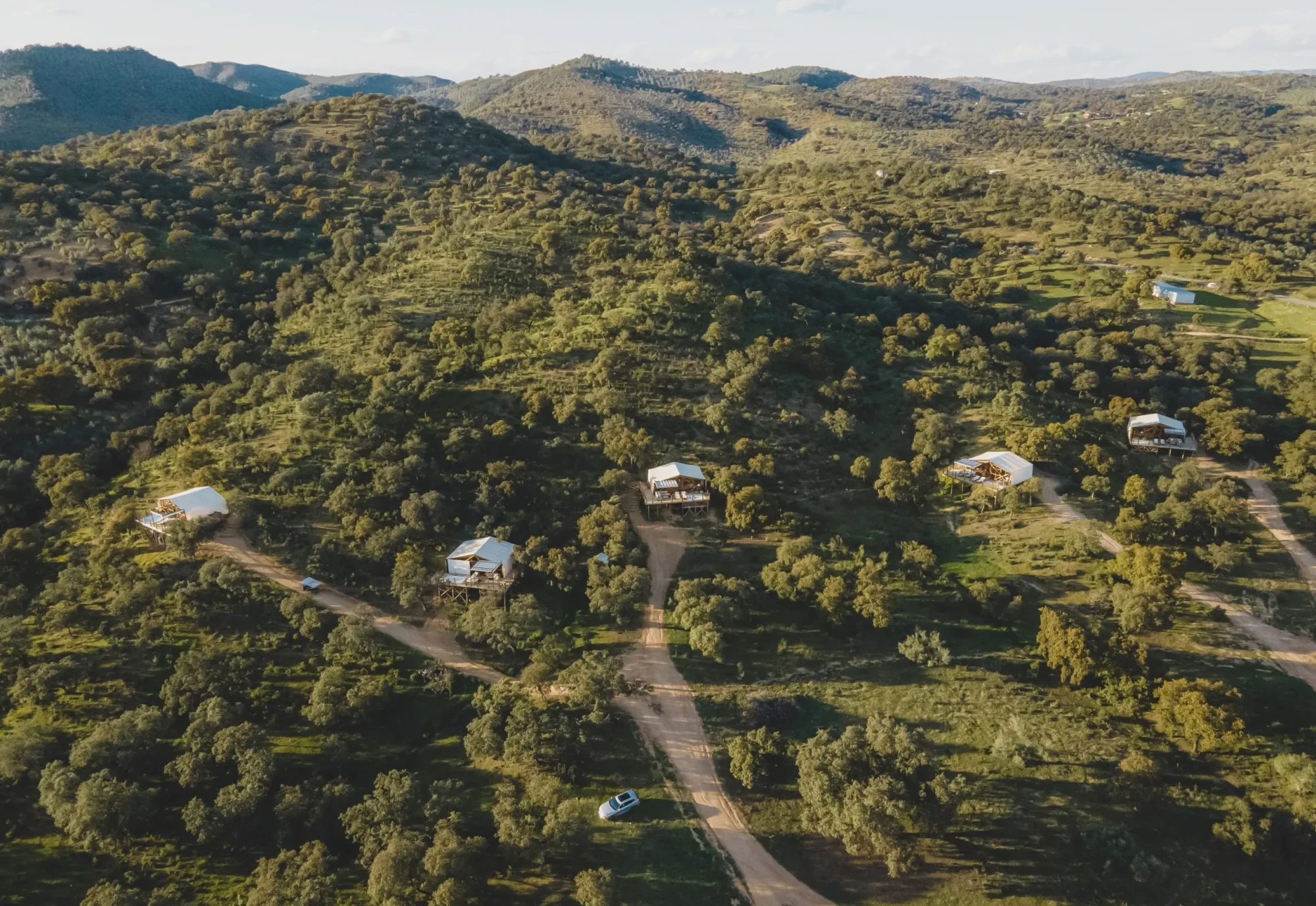 El poder de la naturaleza en la dehesa para tu salud mental 1 El poder de la naturaleza en la dehesa para tu salud mental